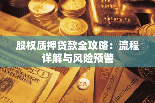 北京股权质押贷款全攻略：流程详解与风险预警