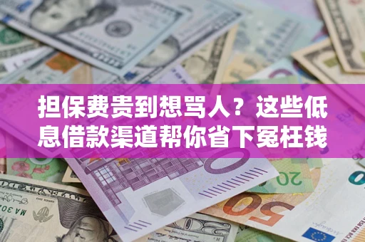 北京担保费贵到想骂人？这些低息借款渠道帮你省下冤枉钱