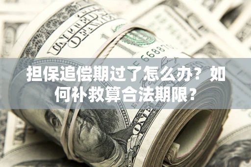 北京担保追偿期过了怎么办？如何补救算合法期限？