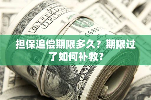 北京担保追偿期限多久？期限过了如何补救？