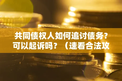 北京共同债权人如何追讨债务？可以起诉吗？（速看合法攻略）