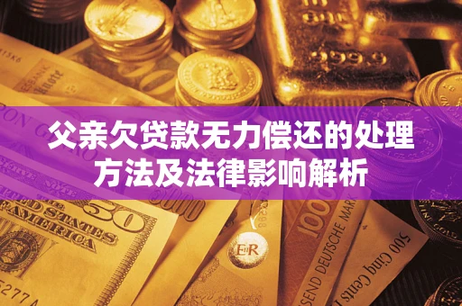 北京父亲欠贷款无力偿还的处理方法及法律影响解析